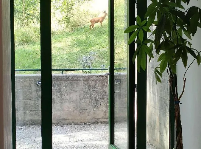 Daire Center, Sauna, View - Haus Linaria Leukerbad